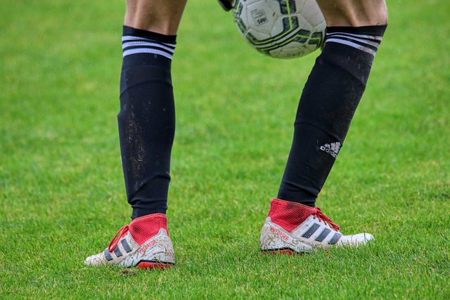 上的表现 上的表现