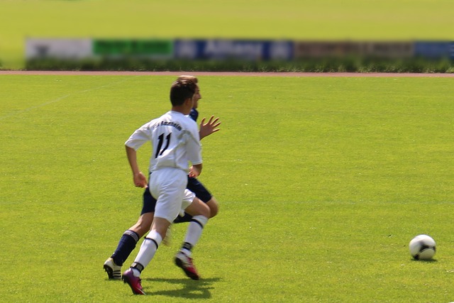 开花的效果 开花的效果