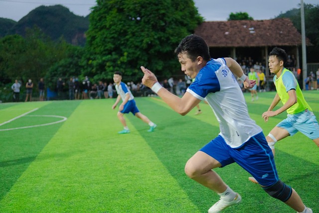 的新星逐渐 的新星逐渐