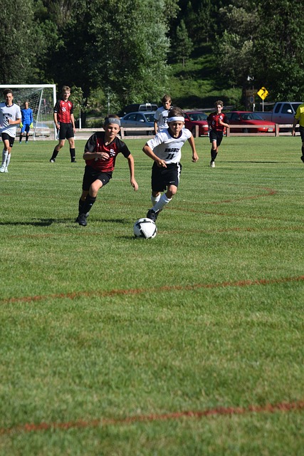 何止于称王 何止于称王