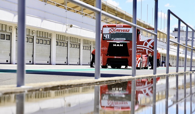 交流和互动 交流和互动