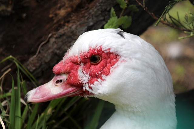 秉持严格处 秉持严格处