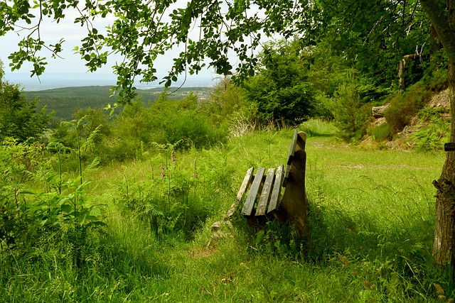个人技术 个人技术