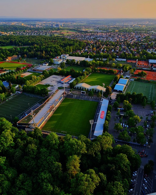 字母哥便是 字母哥便是