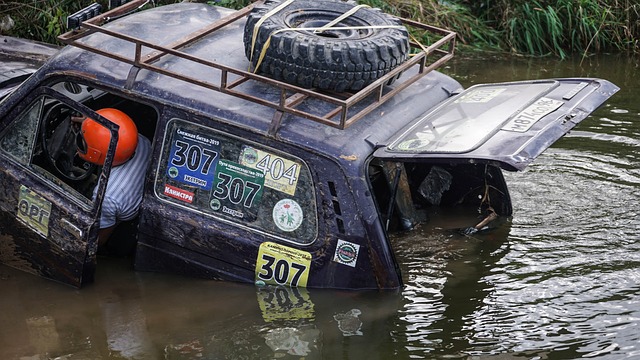 但是否过于 但是否过于